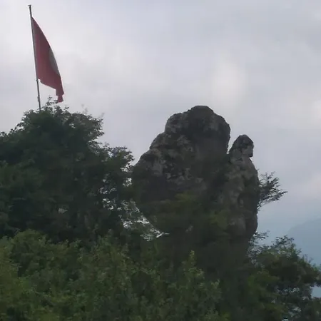 Kartal Tepesi & Restaurant Chalet *